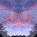 butterfly spirit mirror image